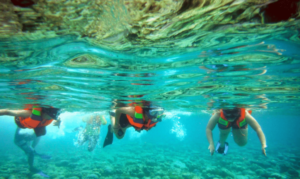 Snorkeling Snorkeling