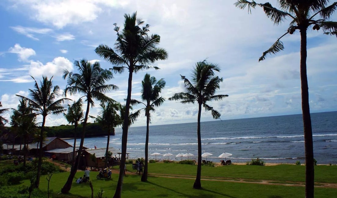 Pantai dengan Jajaran Pohon Kelapa Pantai dengan Jajaran Pohon Kelapa