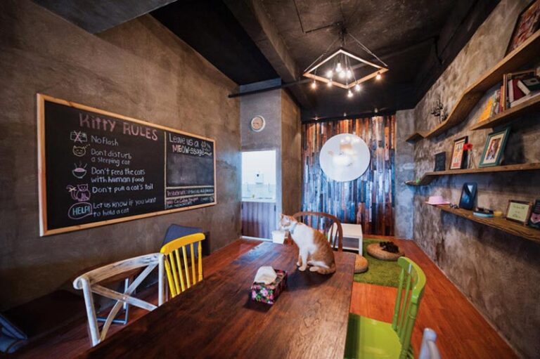 17+ Cafe di Kemang yang Instagrammable, Murah, dan ada Live Music