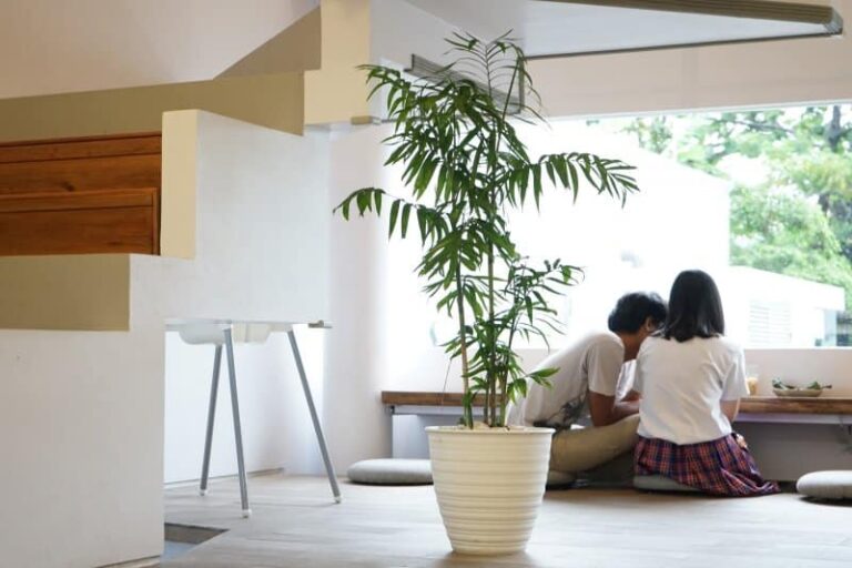 25+ Cafe di Kebun Raya Bogor, Instagrammable!