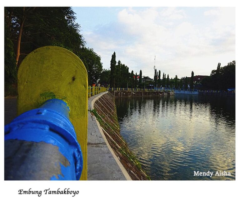 Embung Tambakboyo Jogja : Tempat Jogging Romantis Semua Kalangan!