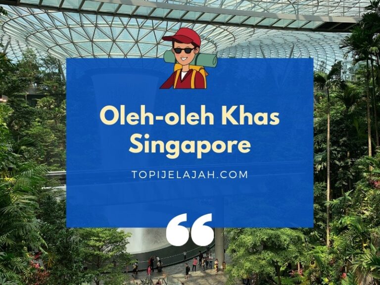 oleh oleh khas singapore