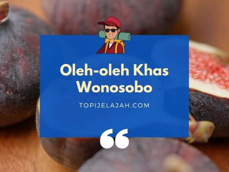 oleh-oleh khas wonosobo