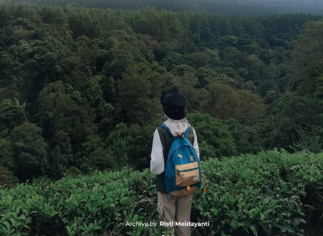 Perkebunan Teh Sukawana